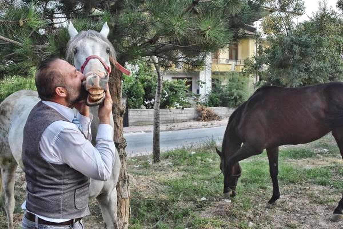Kadın Doğum Doktoru, Hayatını Atlarına Adadı