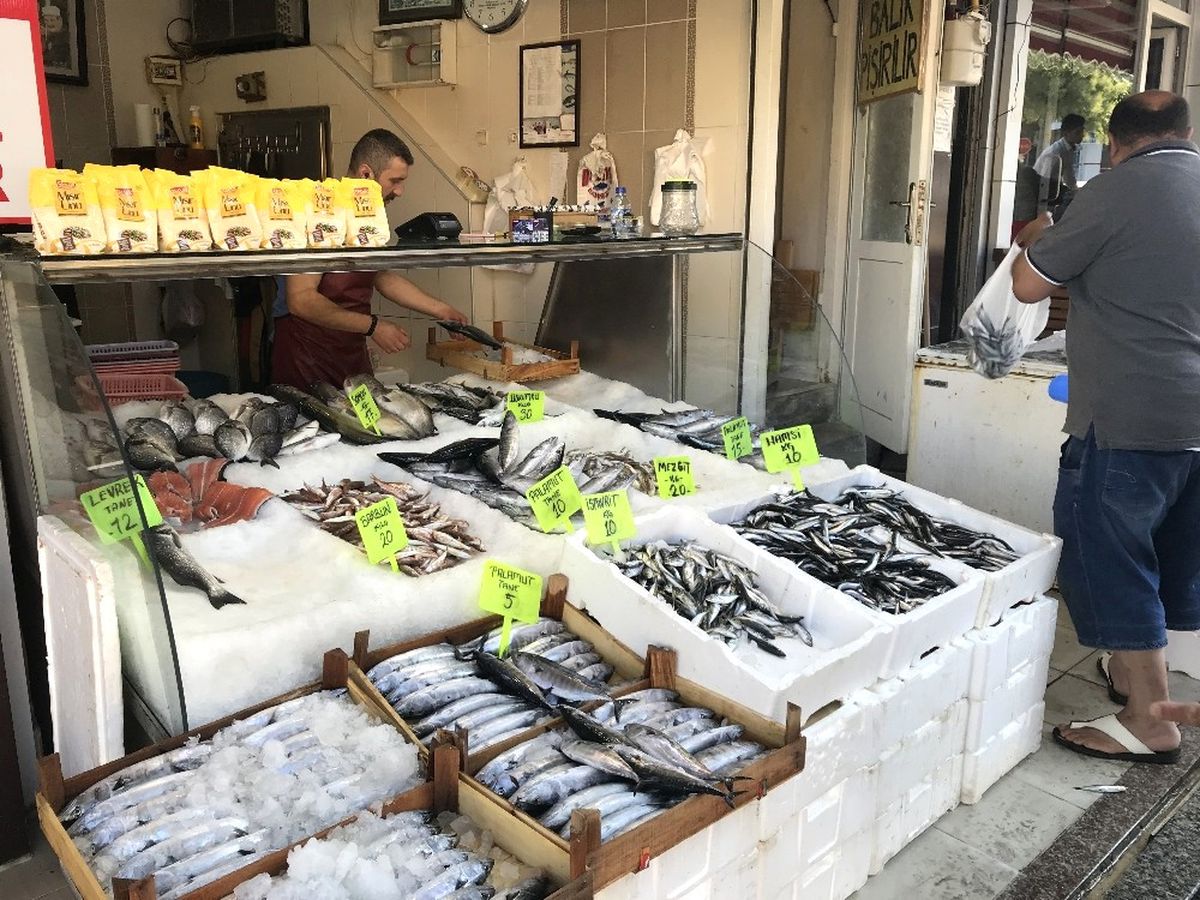Balık Tezgahlarında Palamut 5 Liraya Düştü