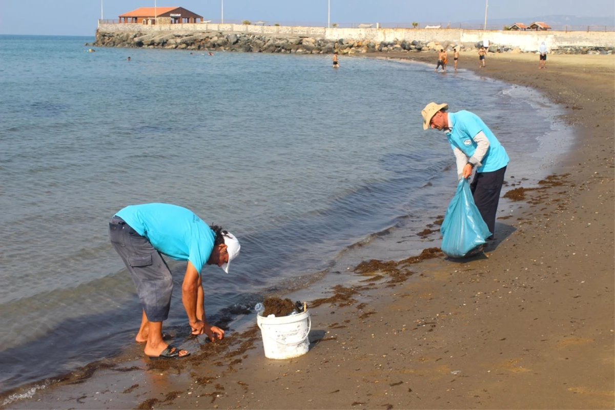 Hatay\'da Deniz ve Sahil Temizliği Özveriyle Sürdürülüyor