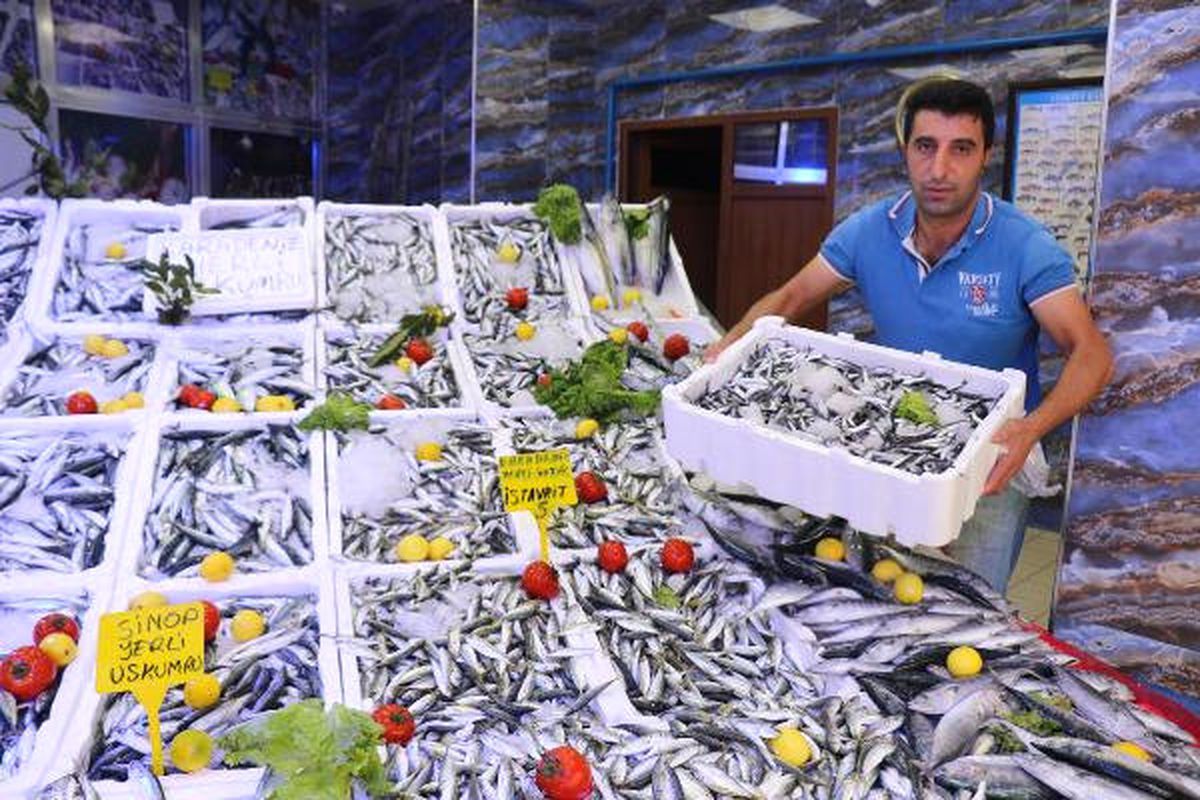 Karadeniz\'de Sıcaklık, Balıkçıları Vurdu