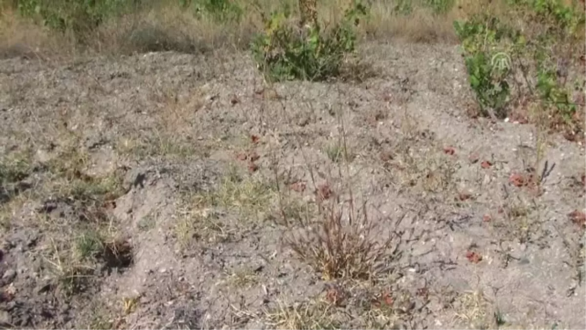 Köylüler 40 Yıl Sonra Yağmur Duasına Çıktı