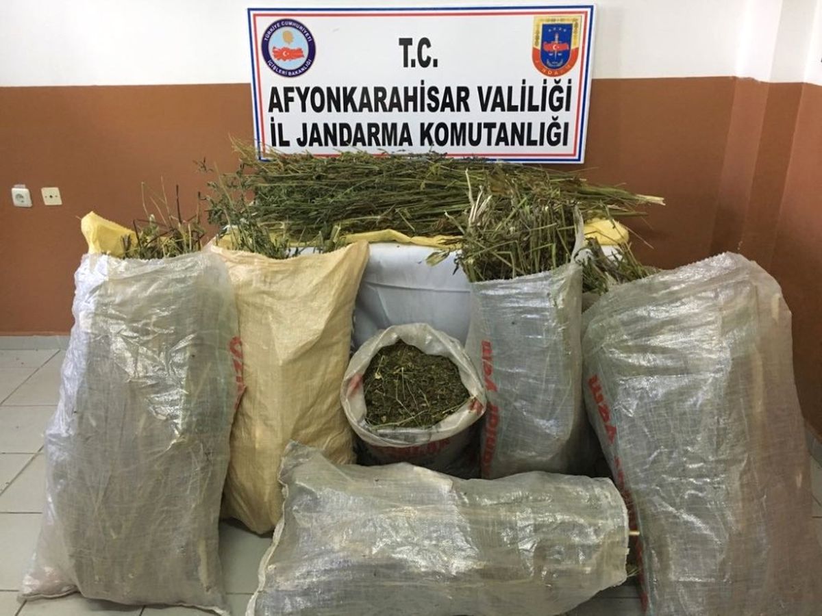 Kurutulmaya Bırakılmış 40 Kilogram Esrar Ele Geçirildi