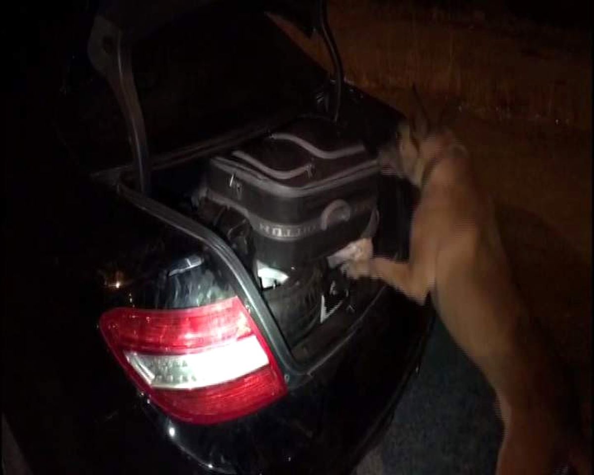 Lüks Otomobilde 10 Kilo Esrar Ele Geçirildi