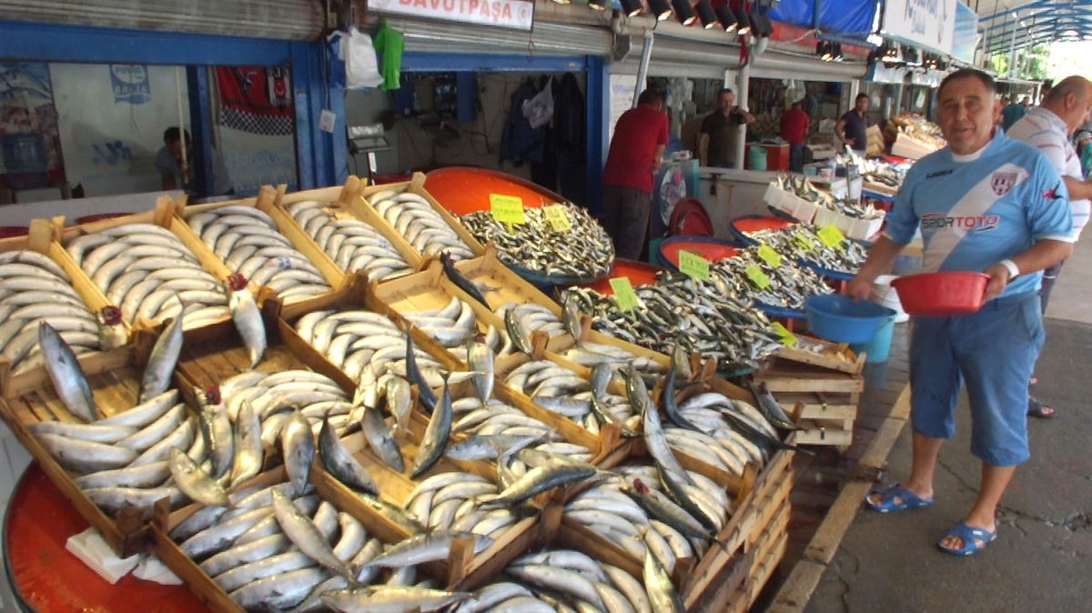 Marmara\'da Palamut Bereketi