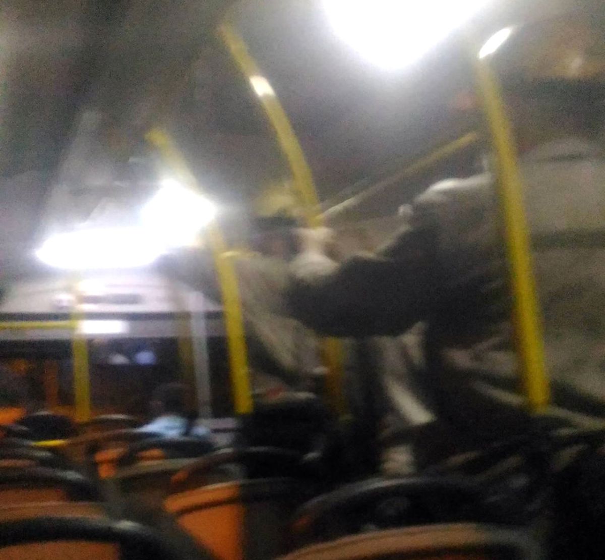 O Karenin Sahibi Konuştu