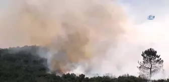 Sancaktepe'de Askeri Alanda Yangın