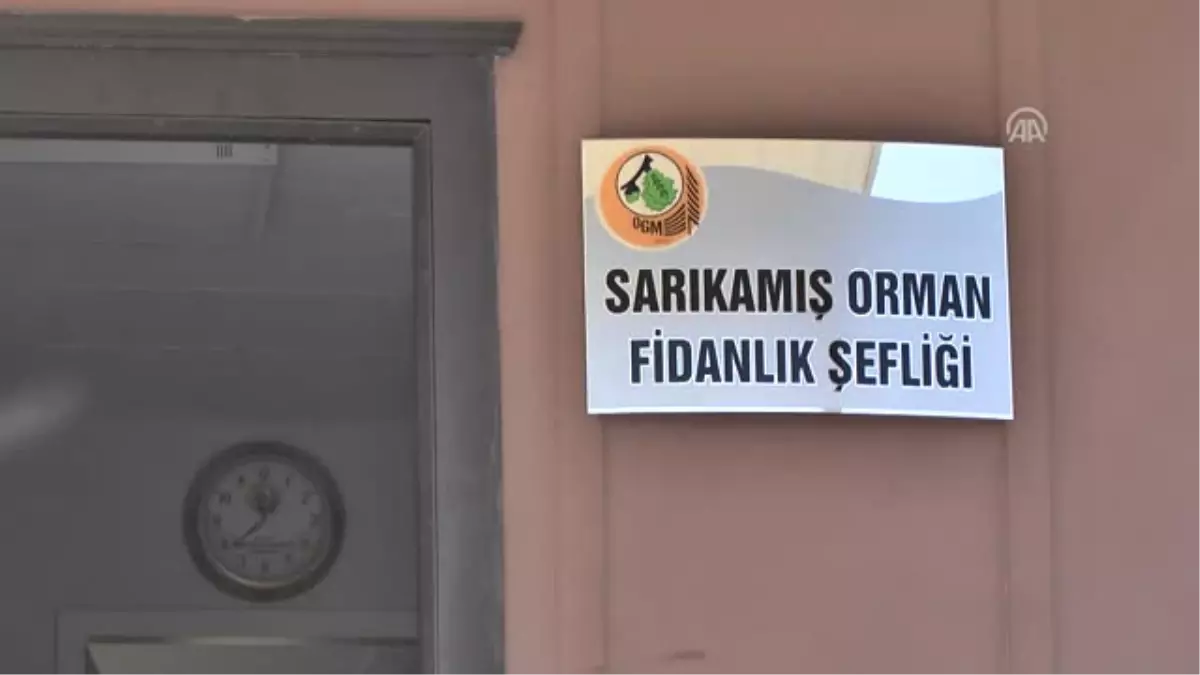 Şehitler Diyarında "15 Temmuz Şehitleri" Anısına Fidan Üretiliyor