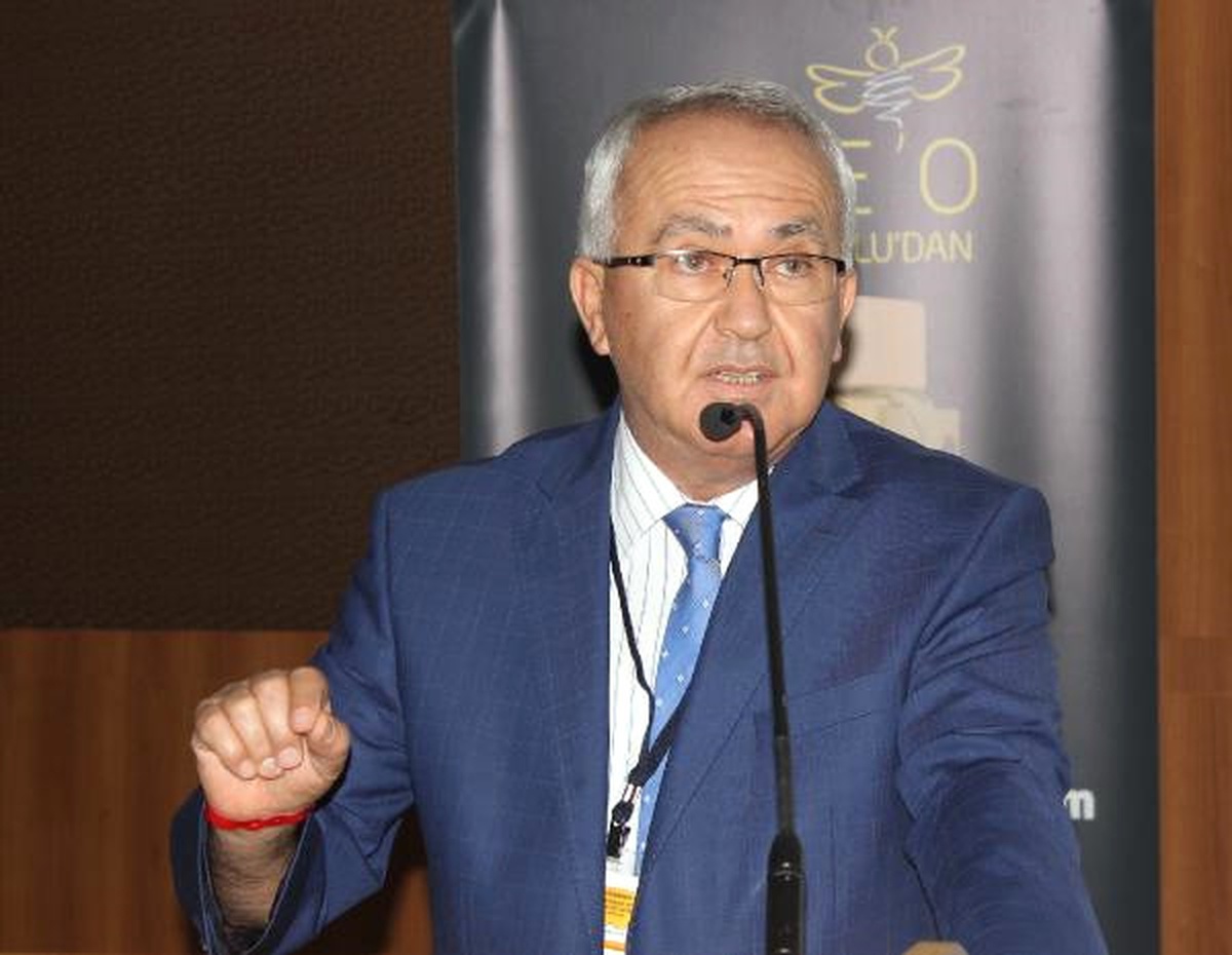 Türk Balına Kimliklendirme Çalışması