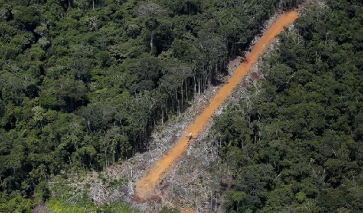 Amazon Ormanlarında Madencilik Yapılamayacak