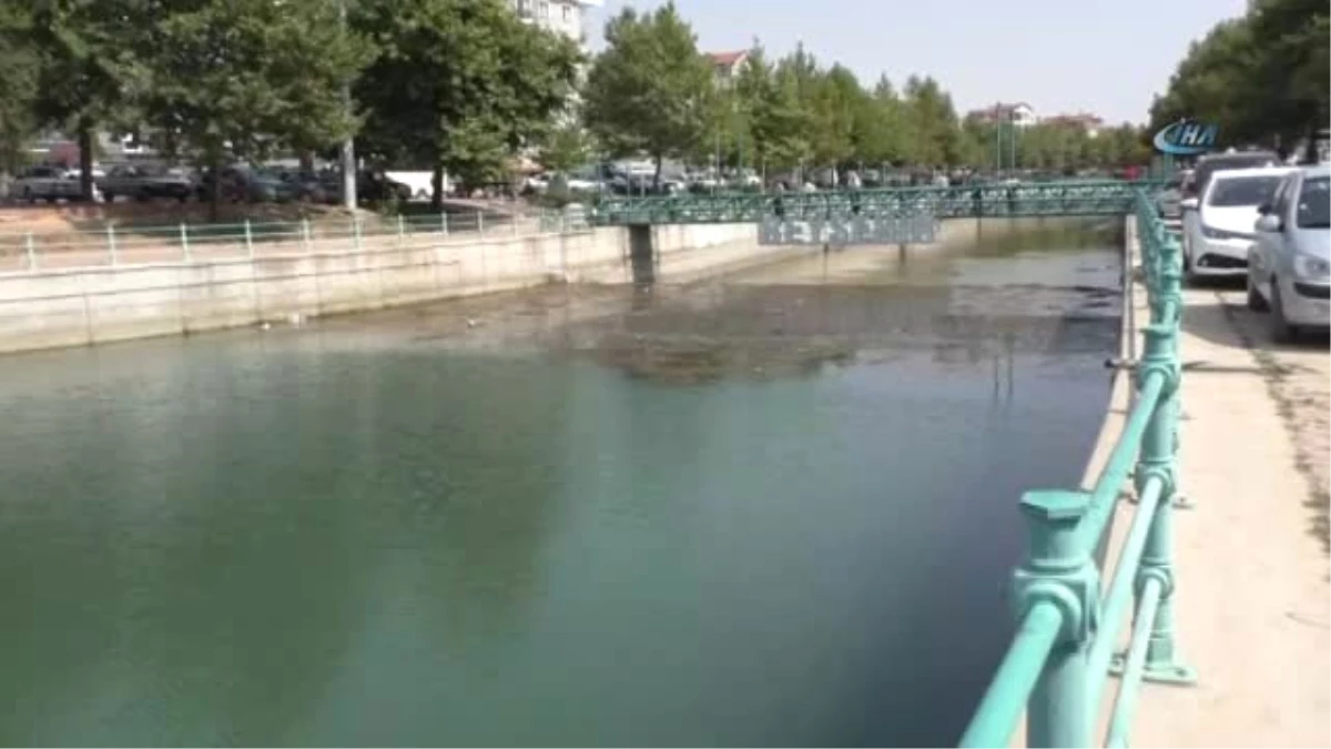 Beyşehir Gölü\'nden Kanala Yavru Balık Akışına Tepki