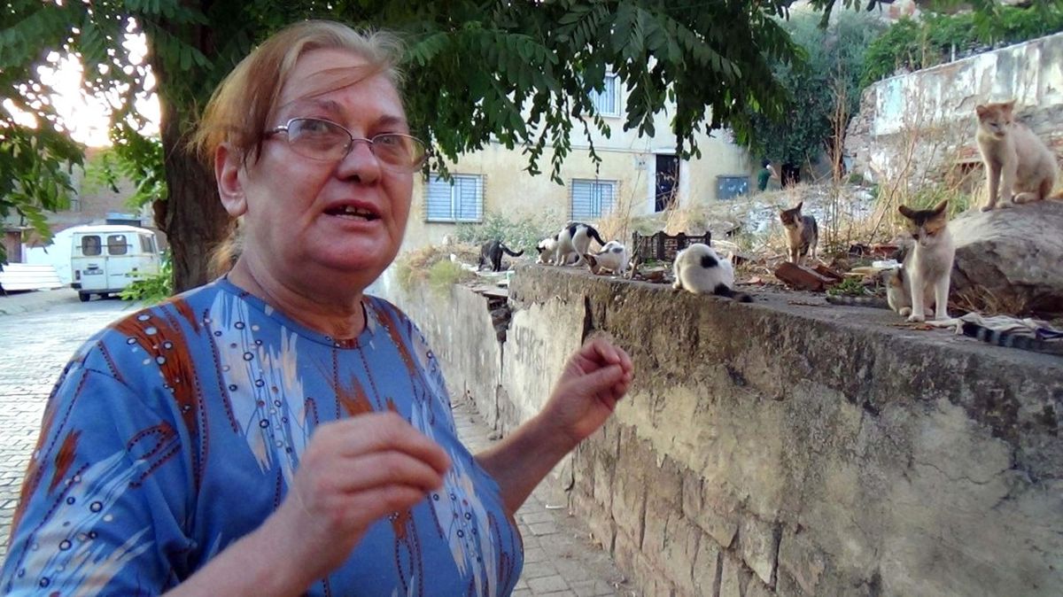 Böyle Kedi Sevgisi Görülmedi