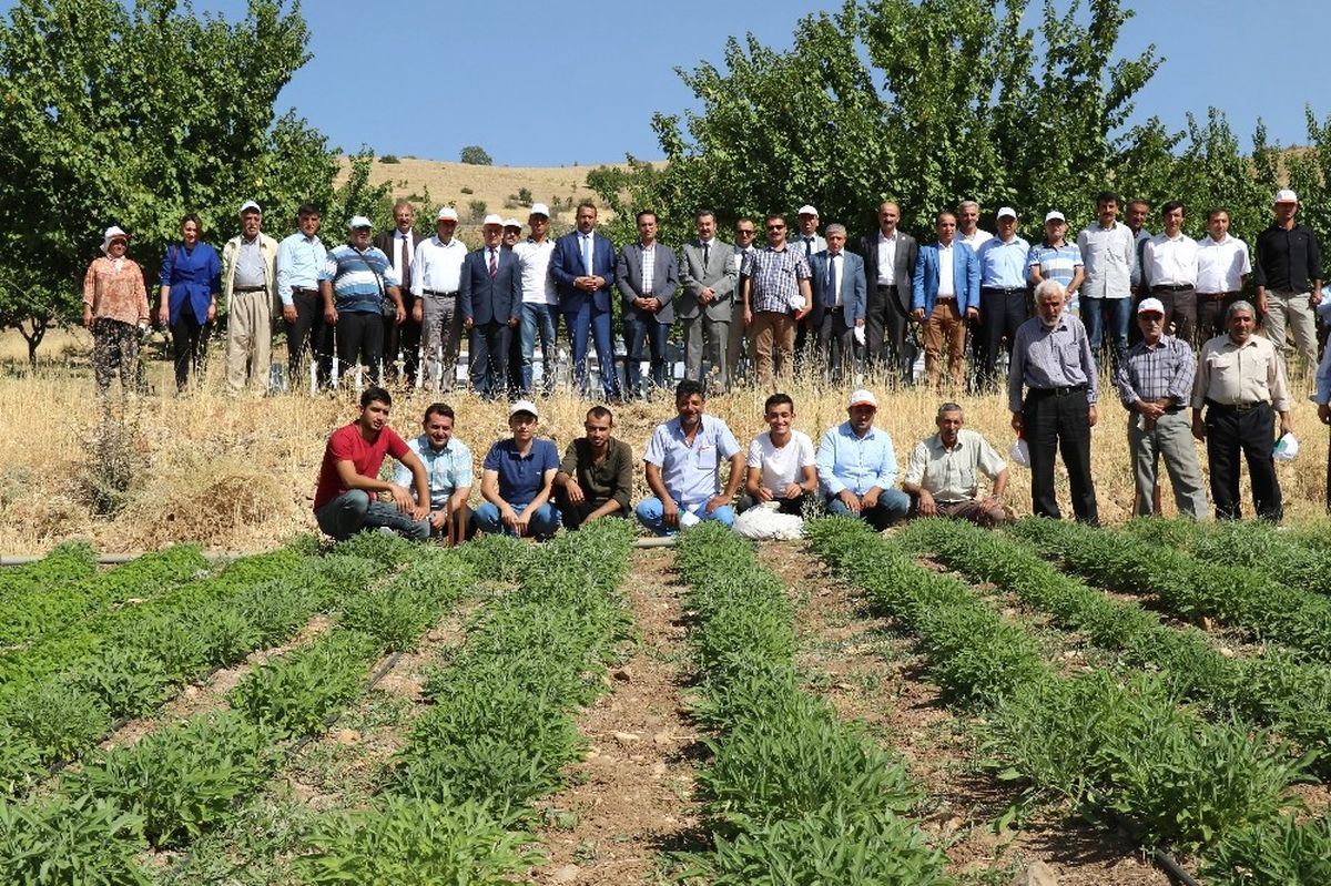 Elazığ\'da Tarla Günü Düzenlendi
