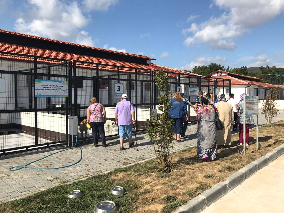 Engelliler \'Beyaz Gezi\' İle Ayvalık\'a Gitti