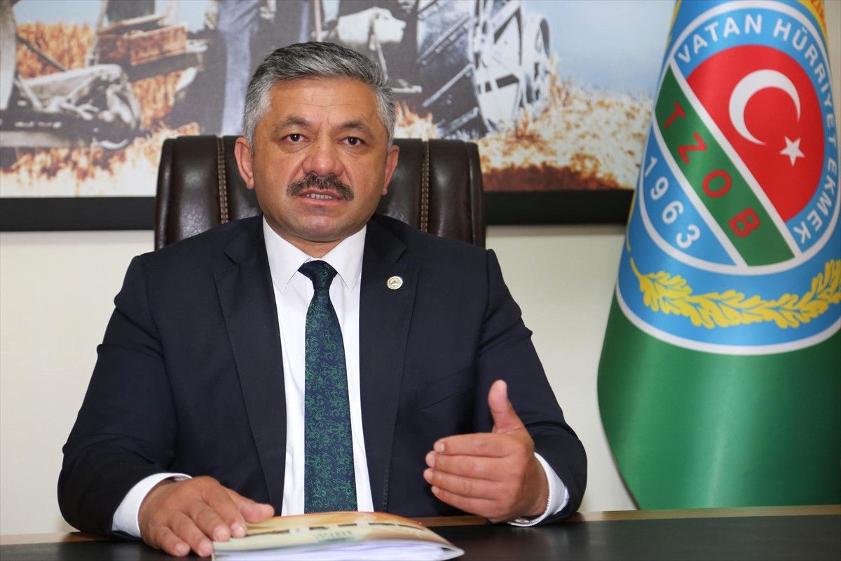 Fındıkta Alan Bazlı Gelir Desteği