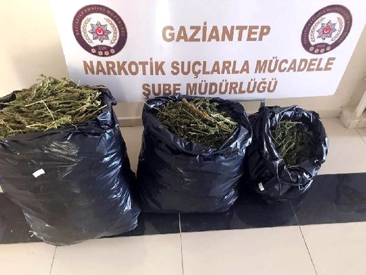 Gaziantep\'te 20 Kilo Esrara 2 Gözaltı