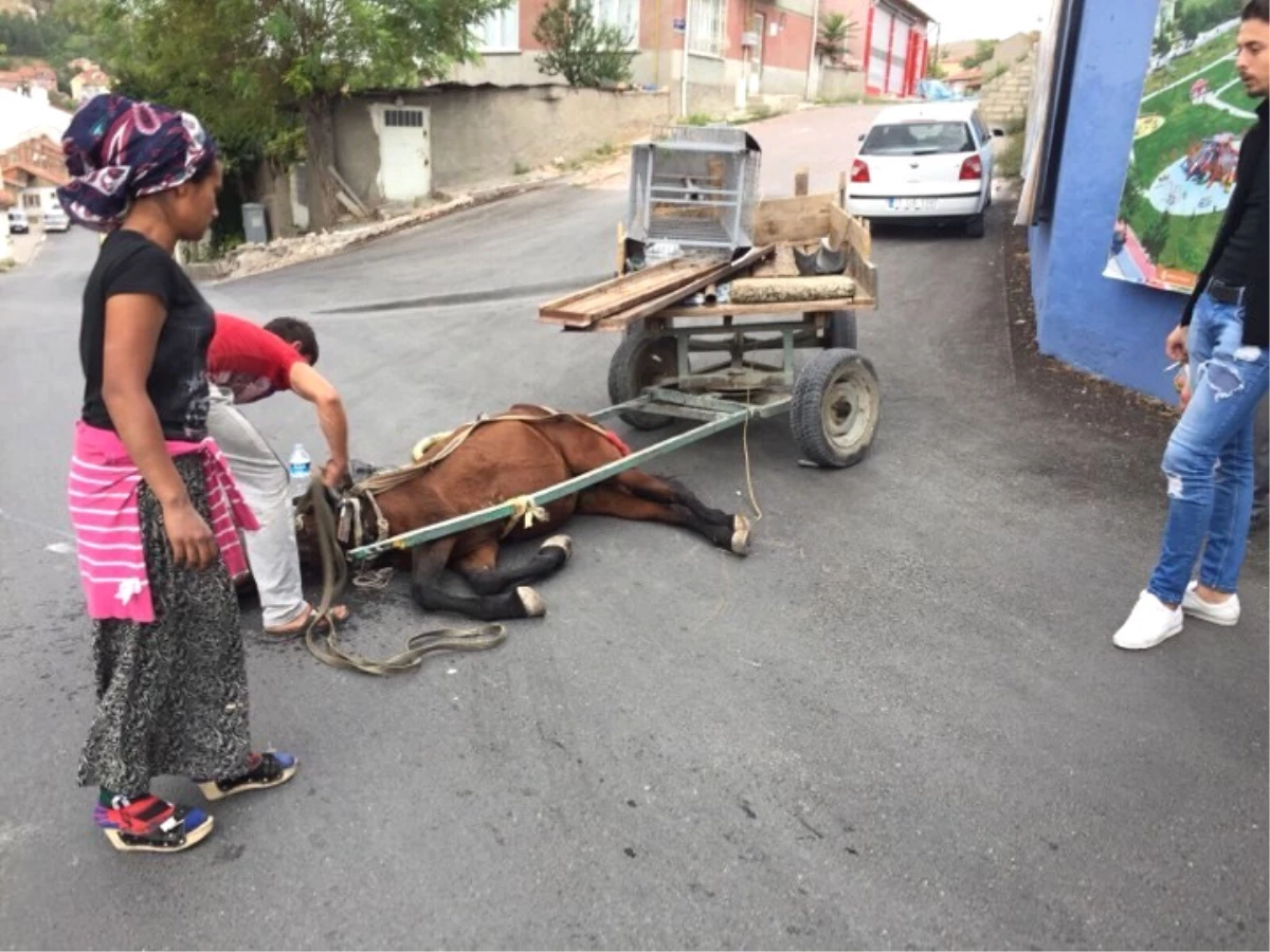 Halk Dolmuşu At Arabasına Çarptı