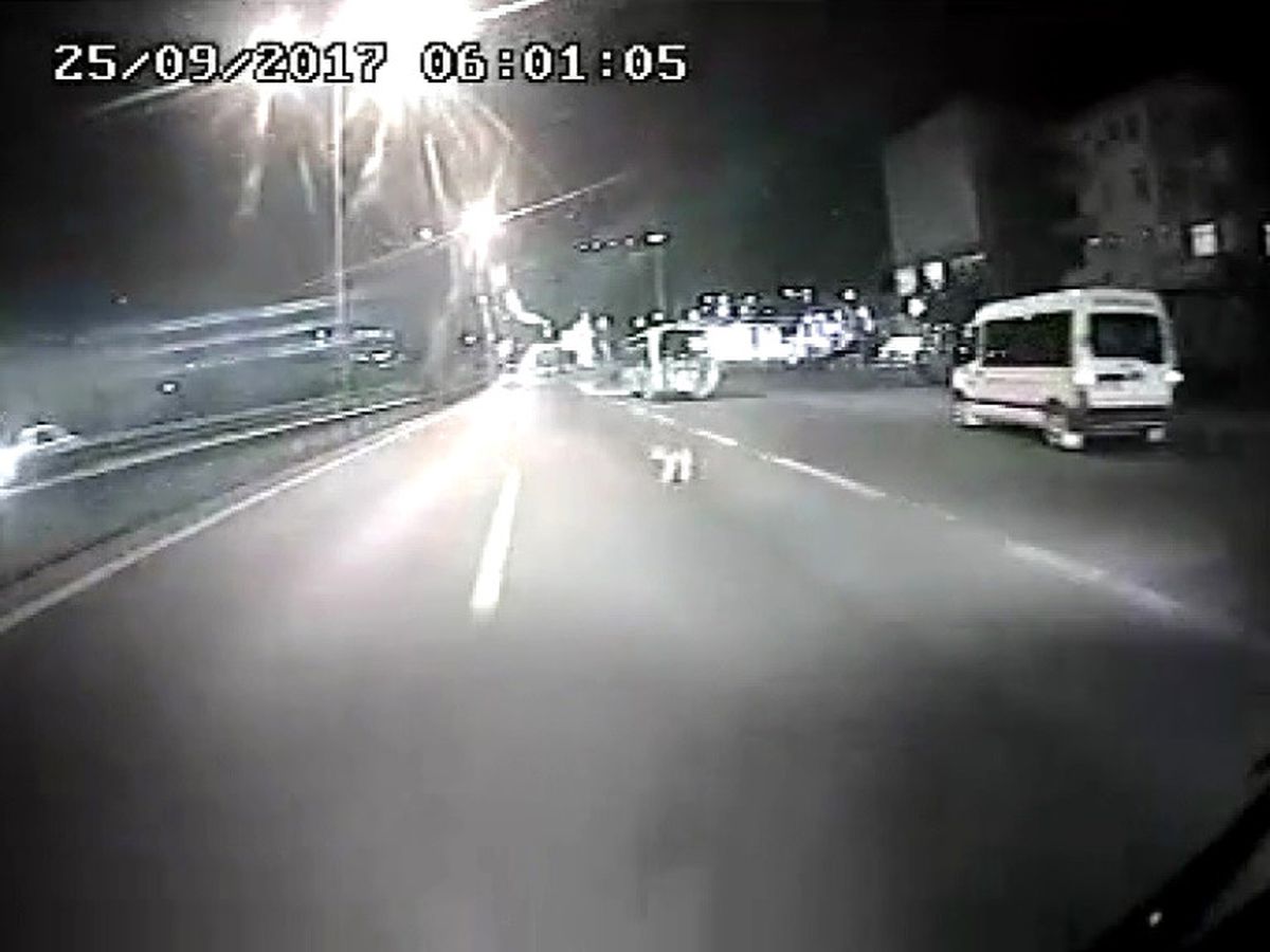 Halk Otobüs Şoförü Çarptığı Yaralı Köpeği Aracına Aldı