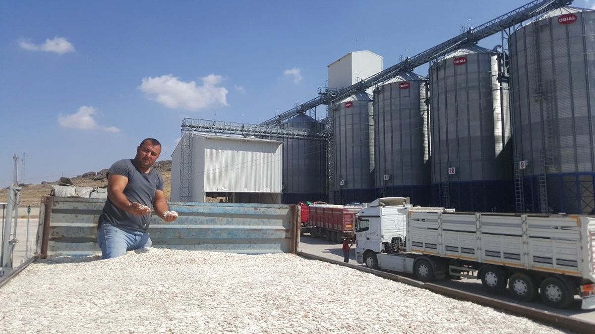Kayseri Şeker, Ayçiçeği Çiftçisinin de Yüzünü Güldürdü