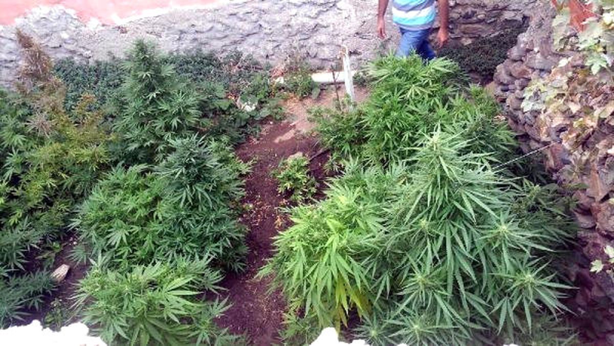 Kemalpaşa\'da 17 Kilo Esrar Ele Geçirildi