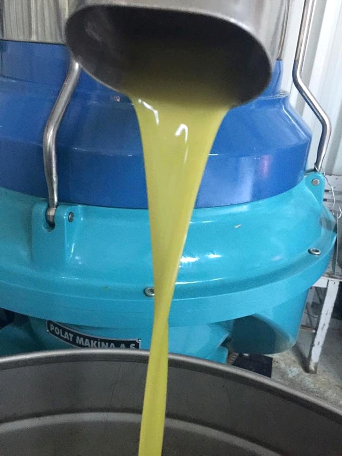 Mut\'ta 25 Bin Ton Zeytinyağı Rekoltesi Bekleniyor