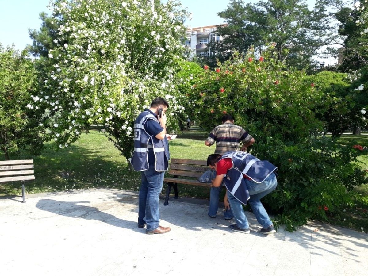 Sinop\'ta Park Uygulaması