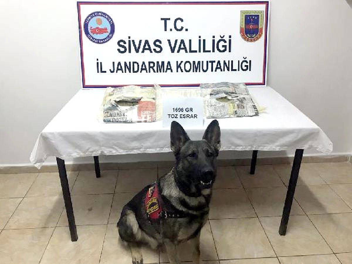 Vücuduna Sardığı Esrarla Yakalandı