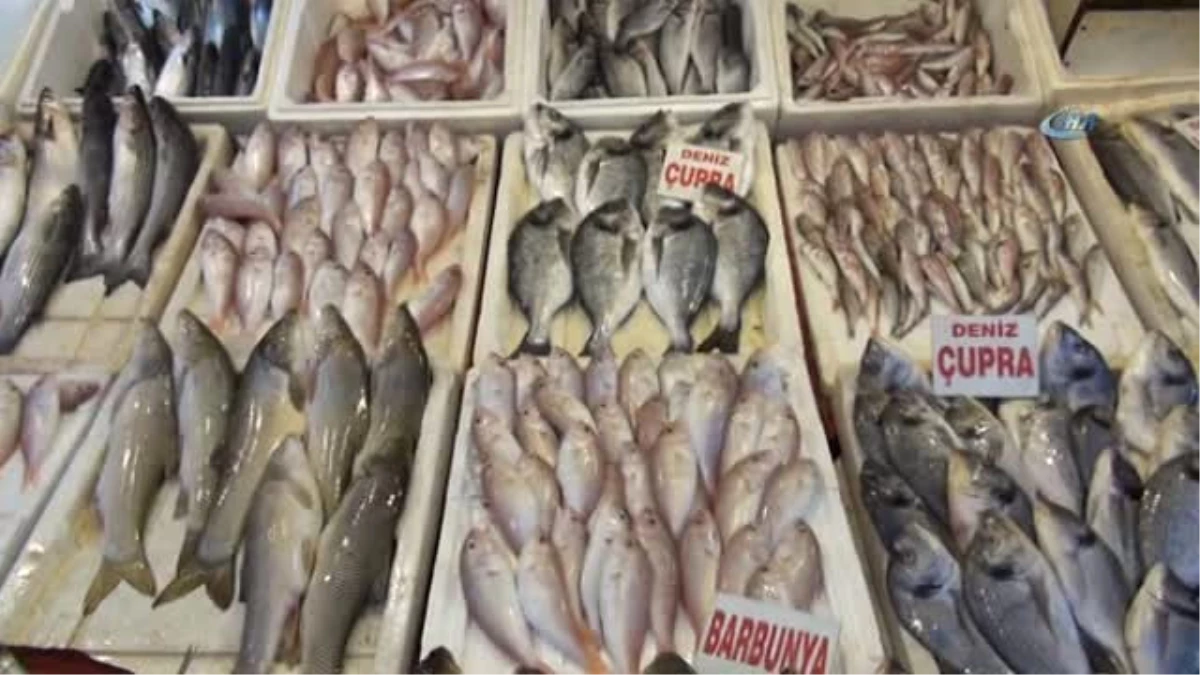 Yasak Kalktı, En Pahalı Balığın Kilosu Bile 15 Liraya Düştü