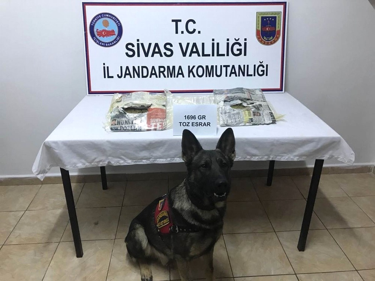 Yolcu Otobüsünde Vücuduna Sardığı Esrarla Yakalandı