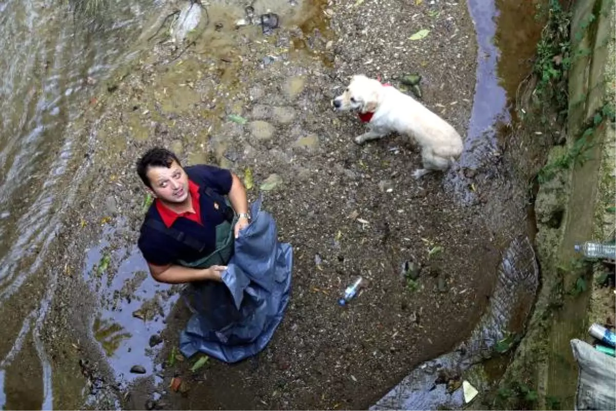 Dereye Düşünce Ayağı Kırılan Köpeği İtfaiye Kurtardı