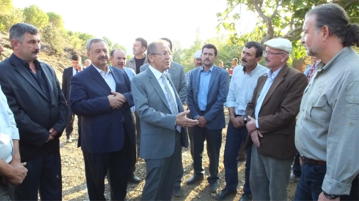 Edremit Körfezinin İlk Organik Zeytinyağı Fabrikası Burhaniye\'de Kuruluyor