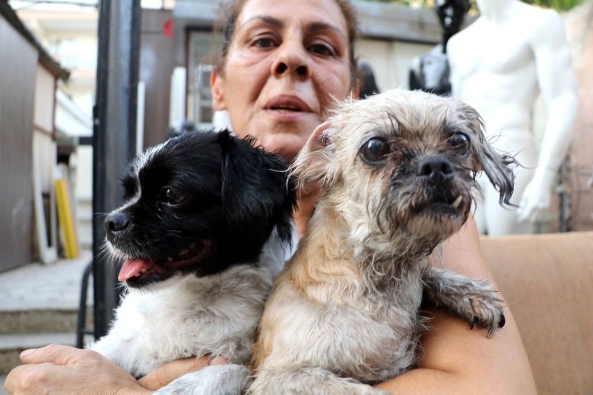 Kedi, Köpek ve Papağanlar Yanmaktan Son Anda Kurtarıldı