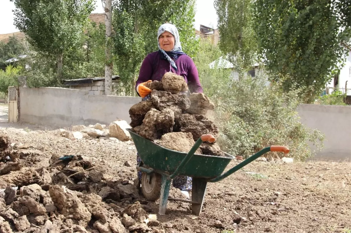 Sivas\'ta Kışlık Tezek Hazırlıkları Başladı