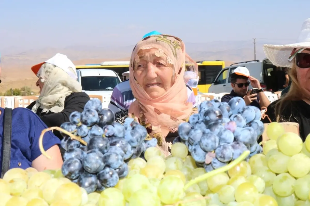 Üzümler Yarıştı, Birinciler Çapa Makinesi Kazandı