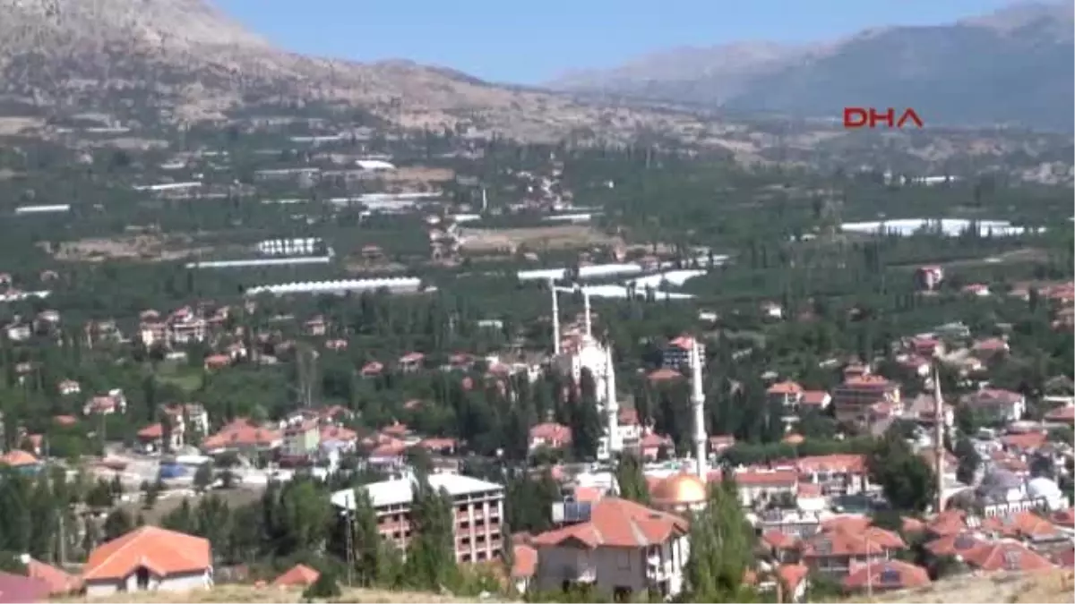 Antalya Yayla Domatesi Yeşil Olarak İhraç Ediliyor