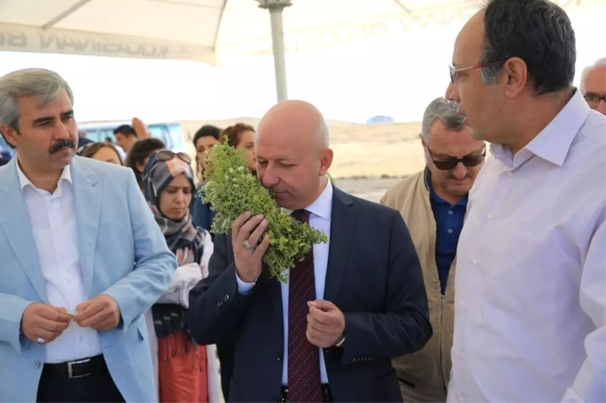 Çolakbayrakdar, "Kayseri Tarım Şehri Olarak Anılacaksa Bunun Yolu Kocasinan\'dan Geçer"