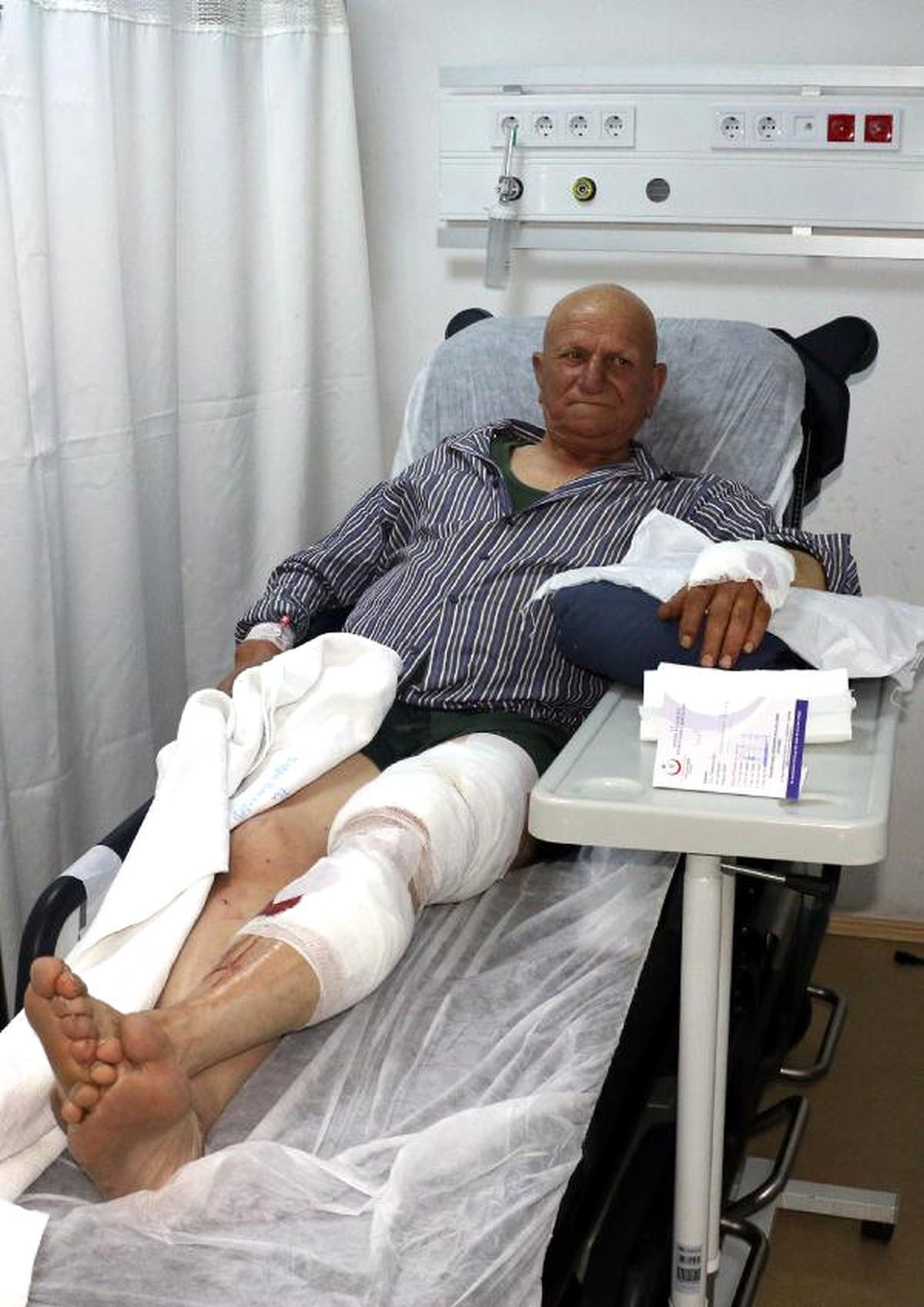 Ayı Saldırısında Yaralandı