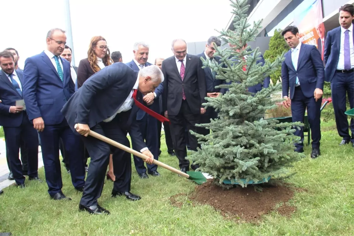 Başbakan Yıldırım Fidan Dikti