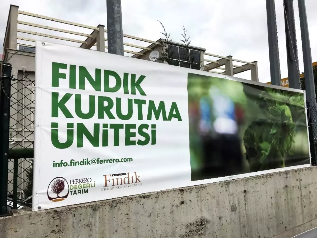 Ferrero Fındık\'tan, Fındık Üreticilerine Ücretsiz Kurutma Desteği