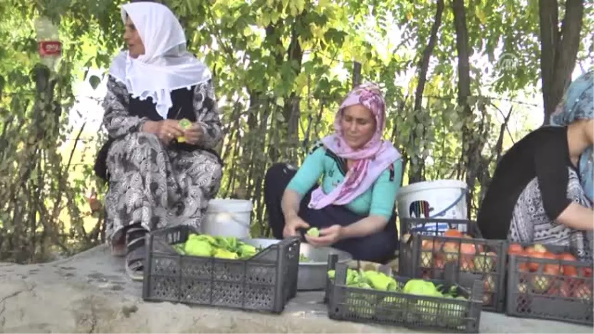 Muşlu Kadınların Kış Hazırlığı