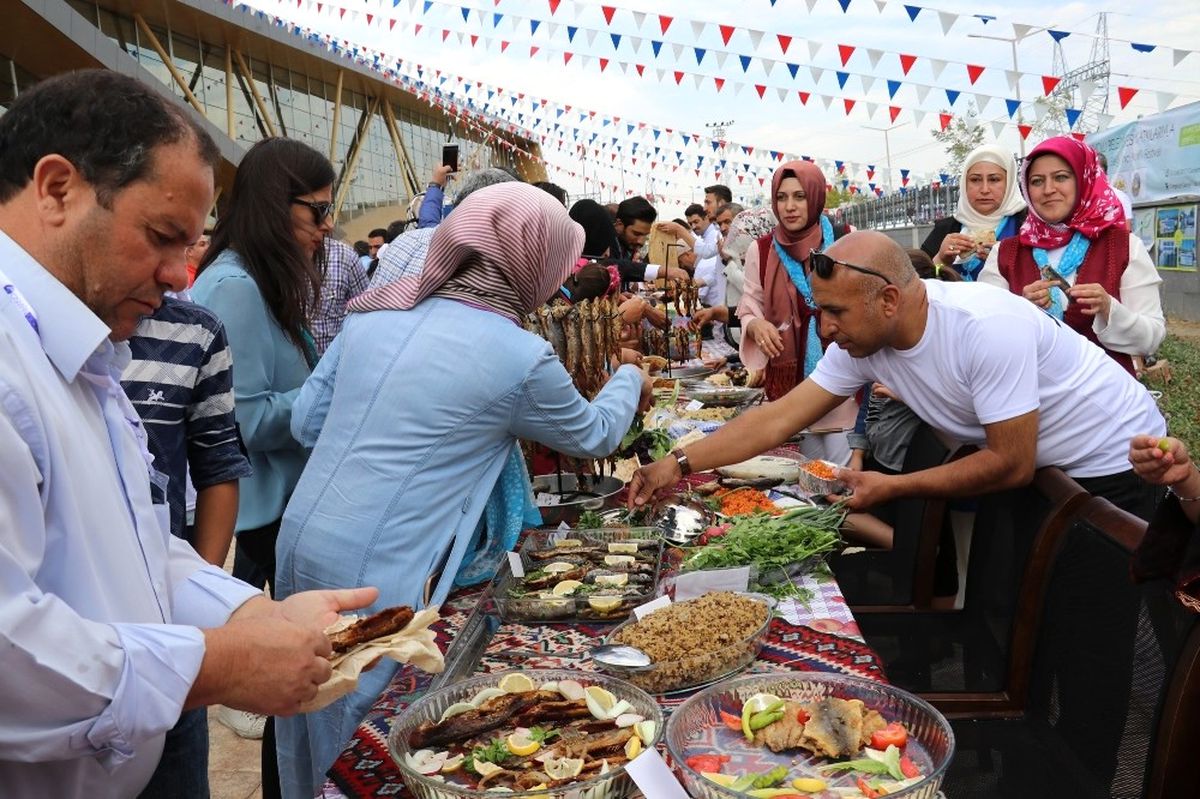 Turizmcilere İnci Kefali İkramı