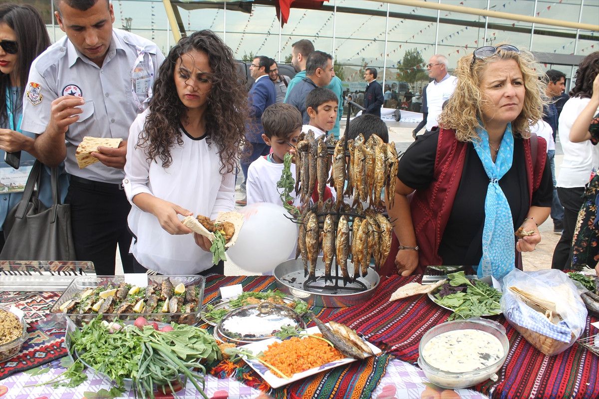 Van\'da Balık Festivali Düzenlendi
