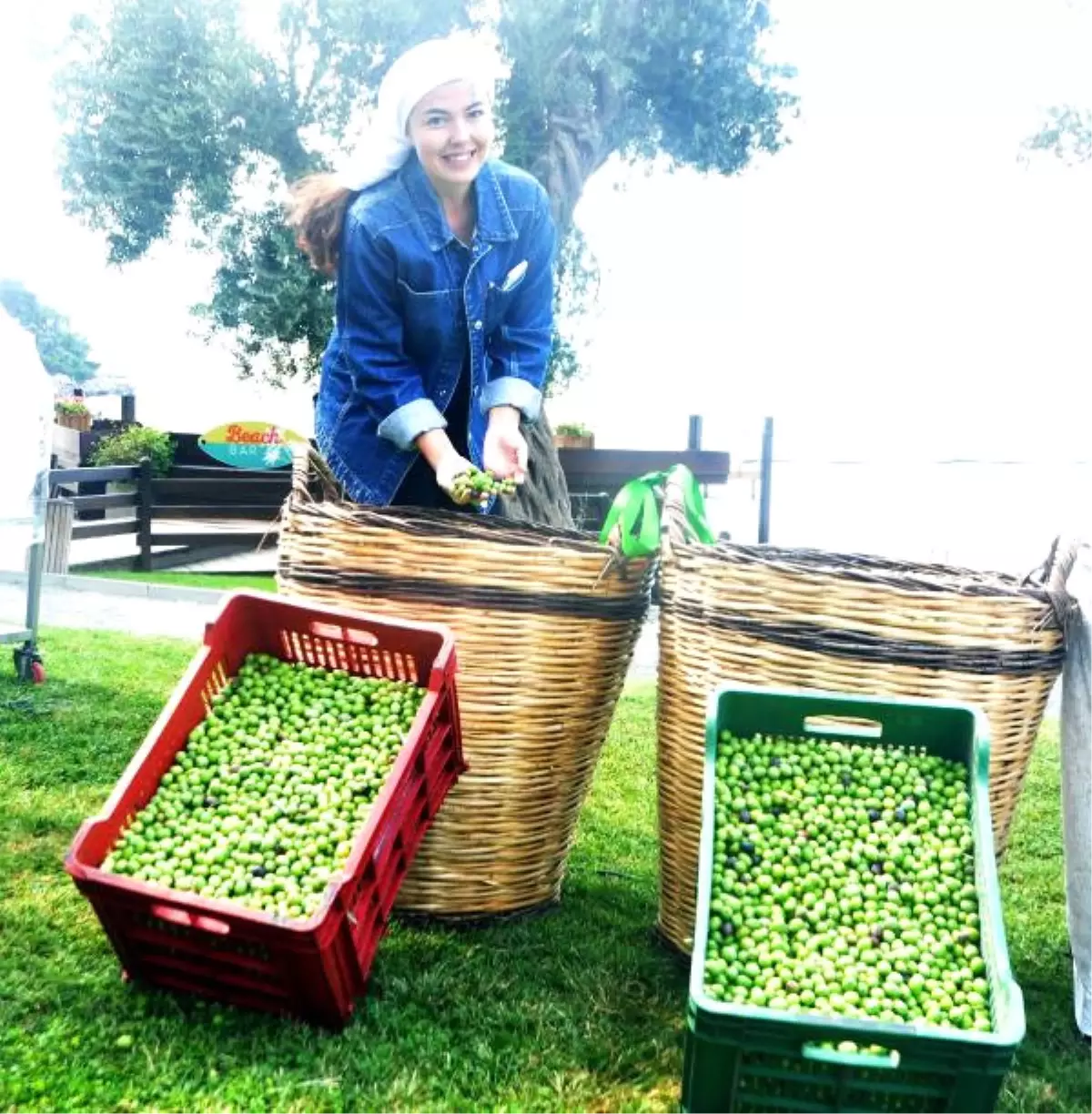 Otel Müşterileri ile Bodrumlular Zeytin Festivali\'nde Biraraya Geldi