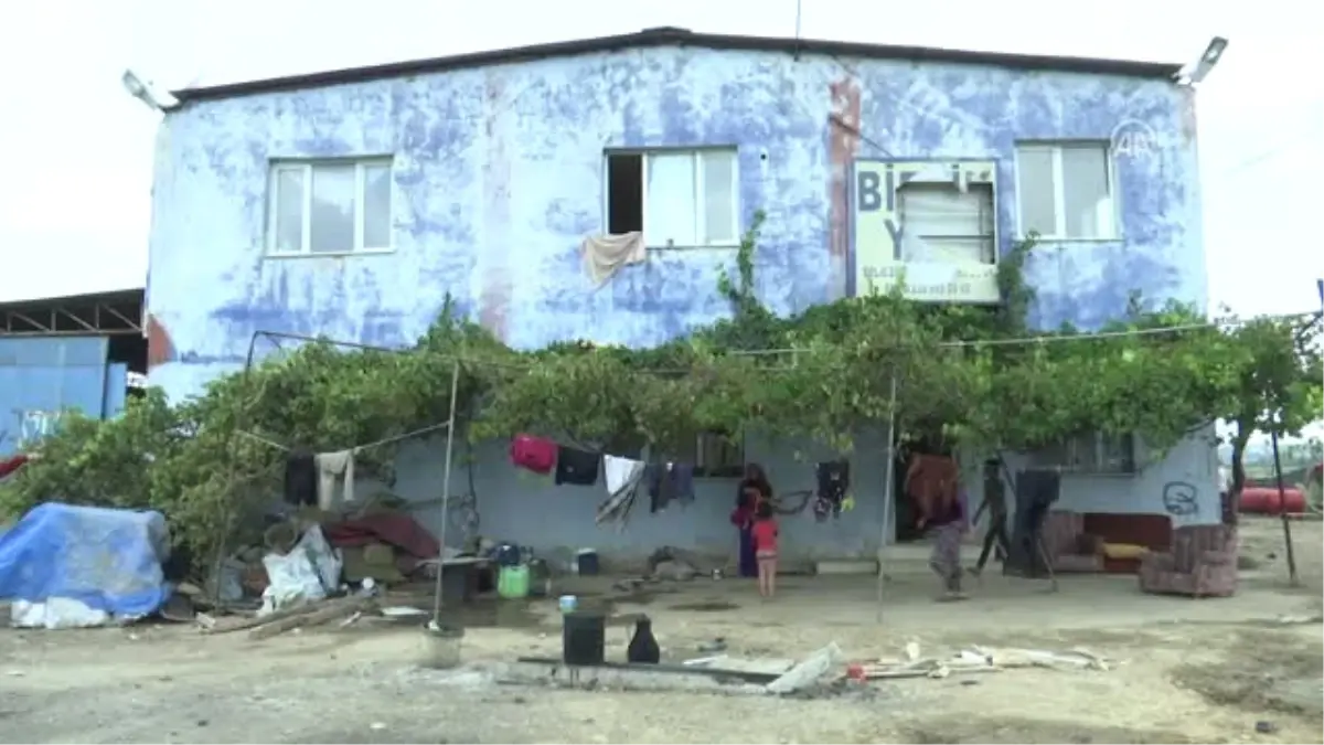 Suriyeli Çocuklar İçin 10 Dilde Şarkı Söylediler