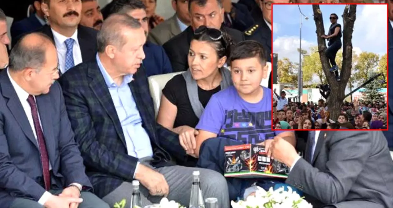 Yarbay Kocası FETÖ\'den Tutuklu Olan Kadın, Erdoğan\'la Görüşmek İçin Ağaca Çıktı