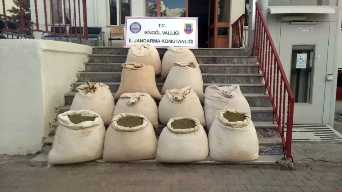 405 Kilogram Esrar Yakalandı