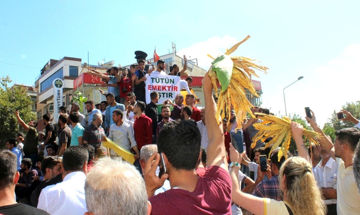 Adıyaman\'da Tütüncülerin Eylemi Sürüyor