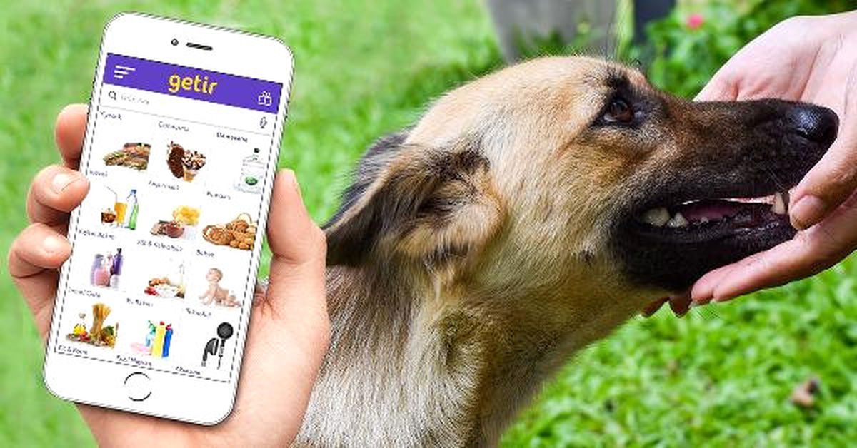 Akıllı Telefon Uygulaması "Getir" ile 4 Ekim\'de Binlerce Hayvan Doyurulacak