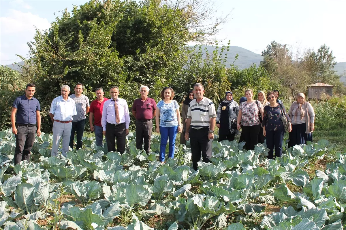 Bamya Yeni Ellerle Buluşuyor Projesi"