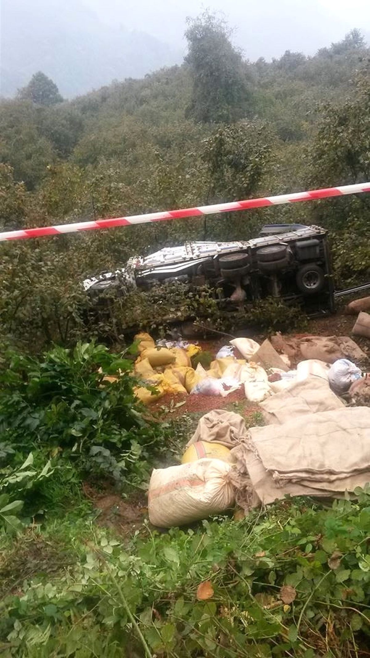 Fındık Kamyonu Devrildi Tonlarca Fındık Tarlaya Yayıldı