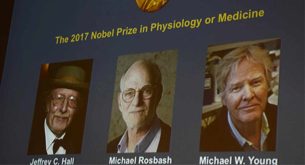 Nobel Tıp Ödülü, Biyolojik Saat Çalışmalarına Gitti